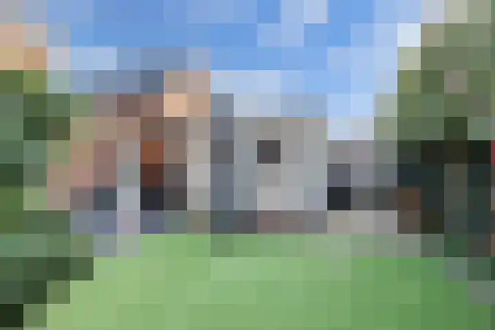 Beltmolen 113 Nunspeet thumbnail 43
