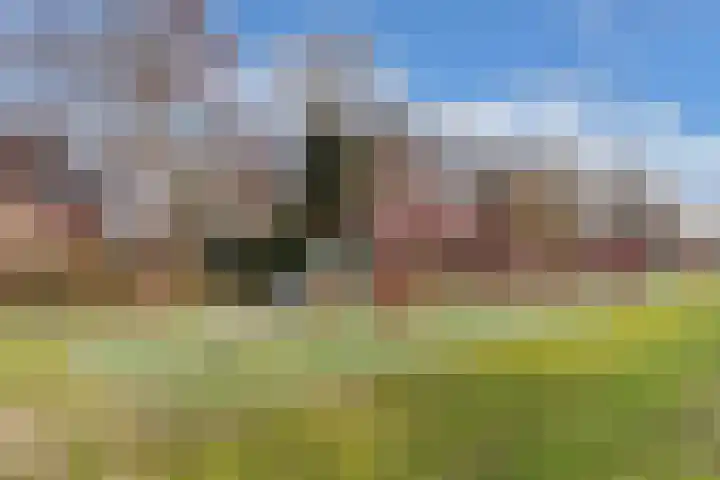 Beltmolen 113 Nunspeet thumbnail 47
