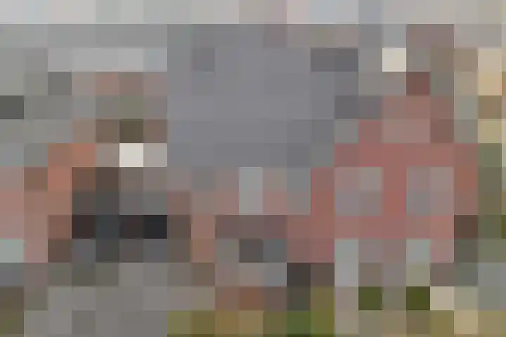 Beltmolen 113 Nunspeet thumbnail 6