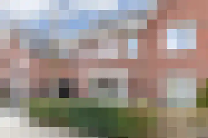 Beltmolen 113 Nunspeet thumbnail 8