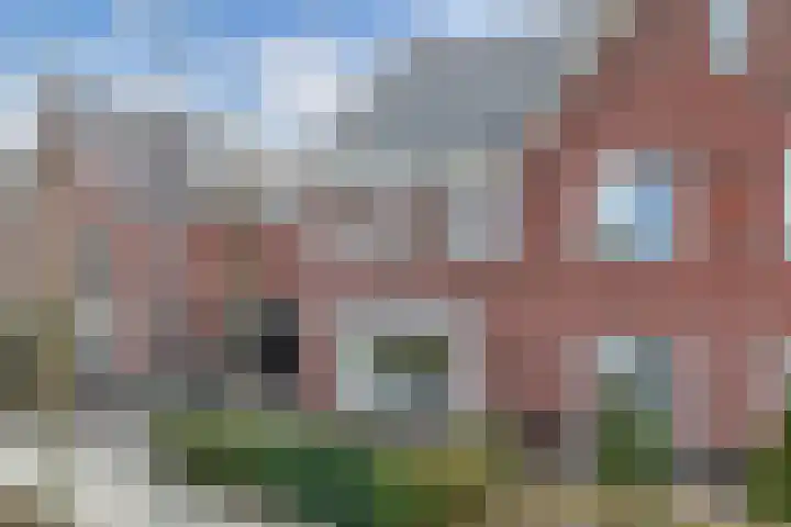 Beltmolen 113 Nunspeet thumbnail 9