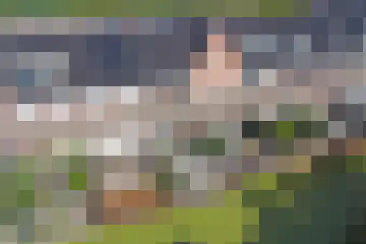 Beltmolen 15 Noordwijkerhout thumbnail 47