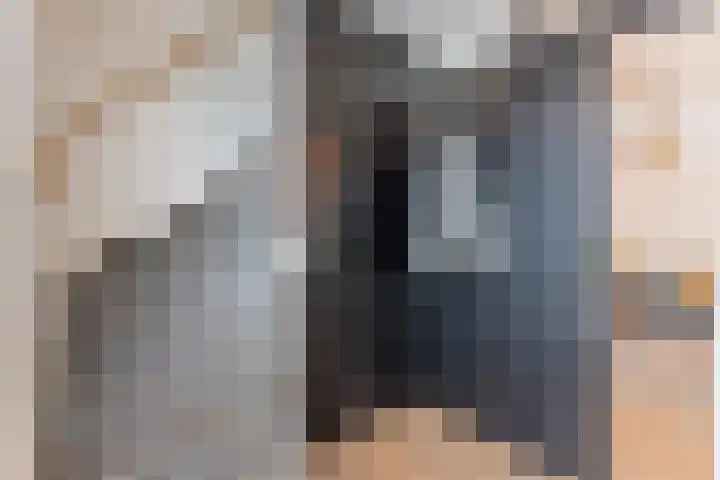Beltmolen 16 Alkmaar thumbnail 12