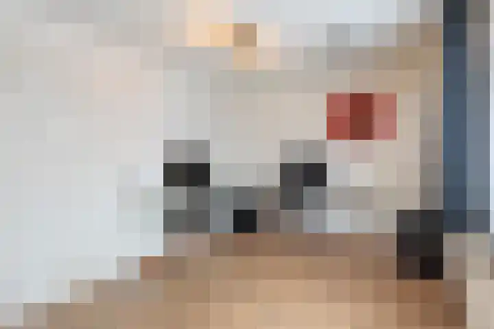 Beltmolen 16 Alkmaar thumbnail 20
