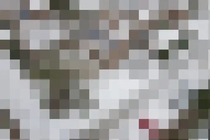 Beltmolen 16 Alkmaar thumbnail 32
