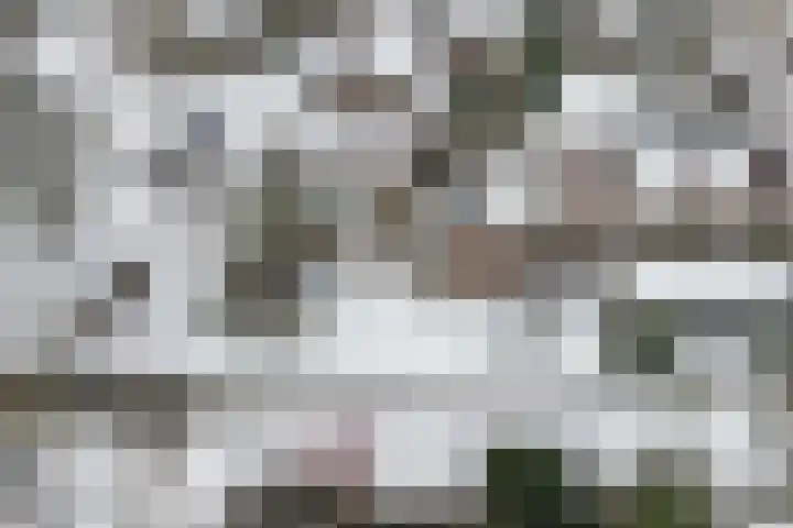 Beltmolen 16 Alkmaar thumbnail 33