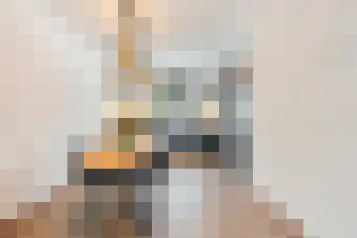 Beltmolen 16 Alkmaar thumbnail 6
