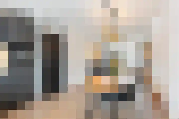 Beltmolen 16 Alkmaar thumbnail 7