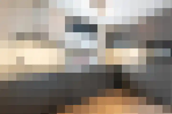 Beltmolen 16 Alkmaar thumbnail 8
