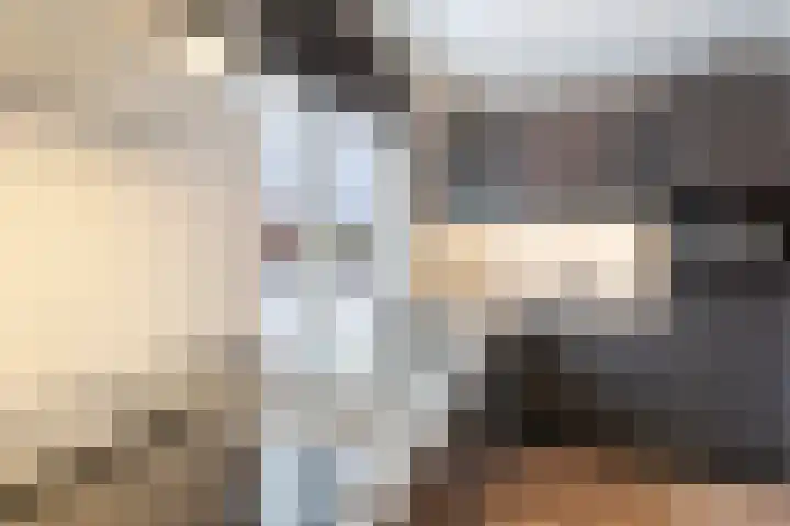 Beltmolen 16 Alkmaar thumbnail 9