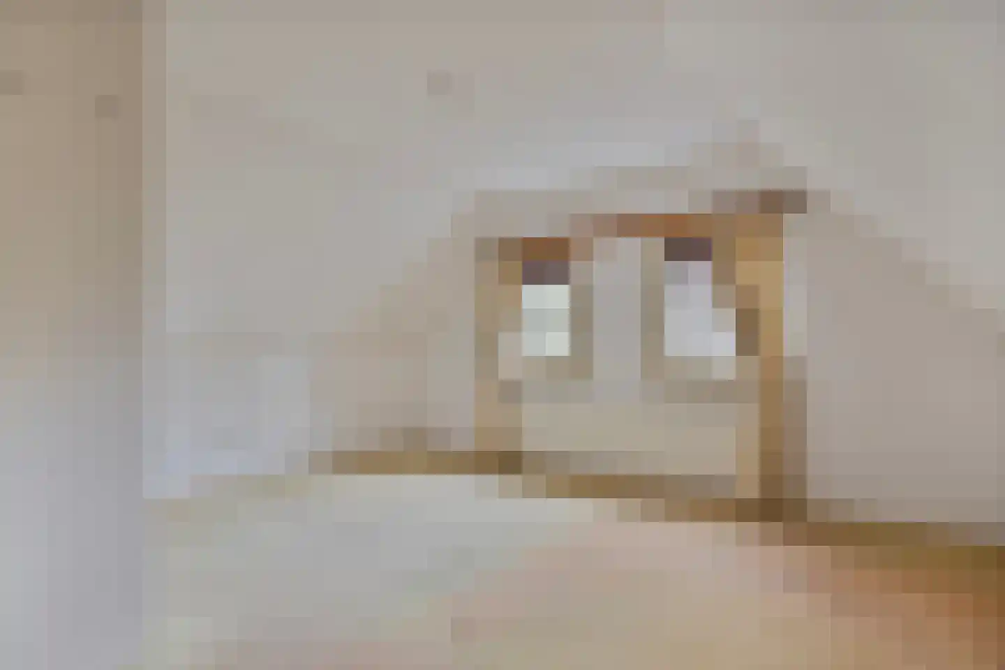 Beltmolen 16 de Lutte thumbnail 21