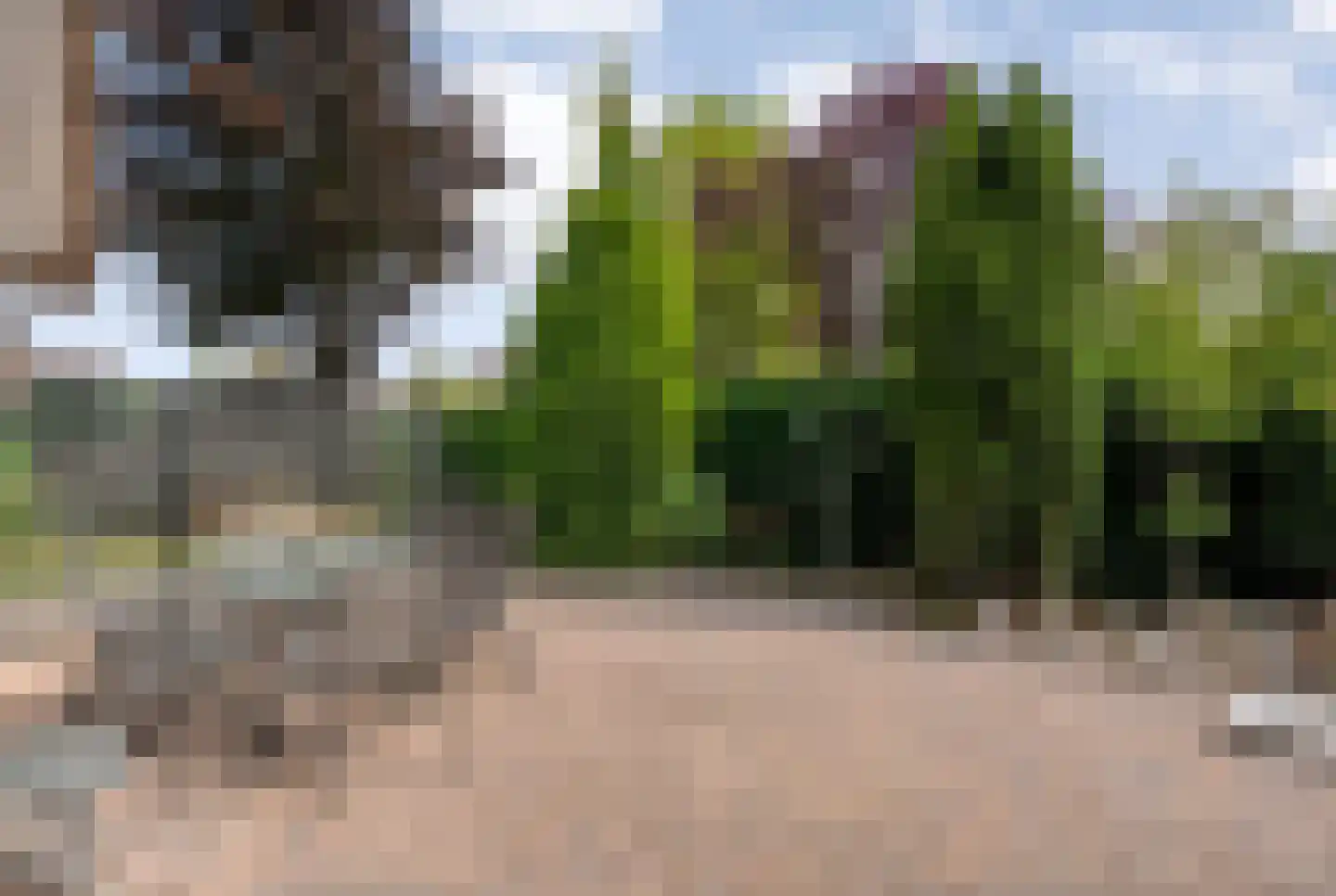 Beltmolen 16 de Lutte thumbnail 28