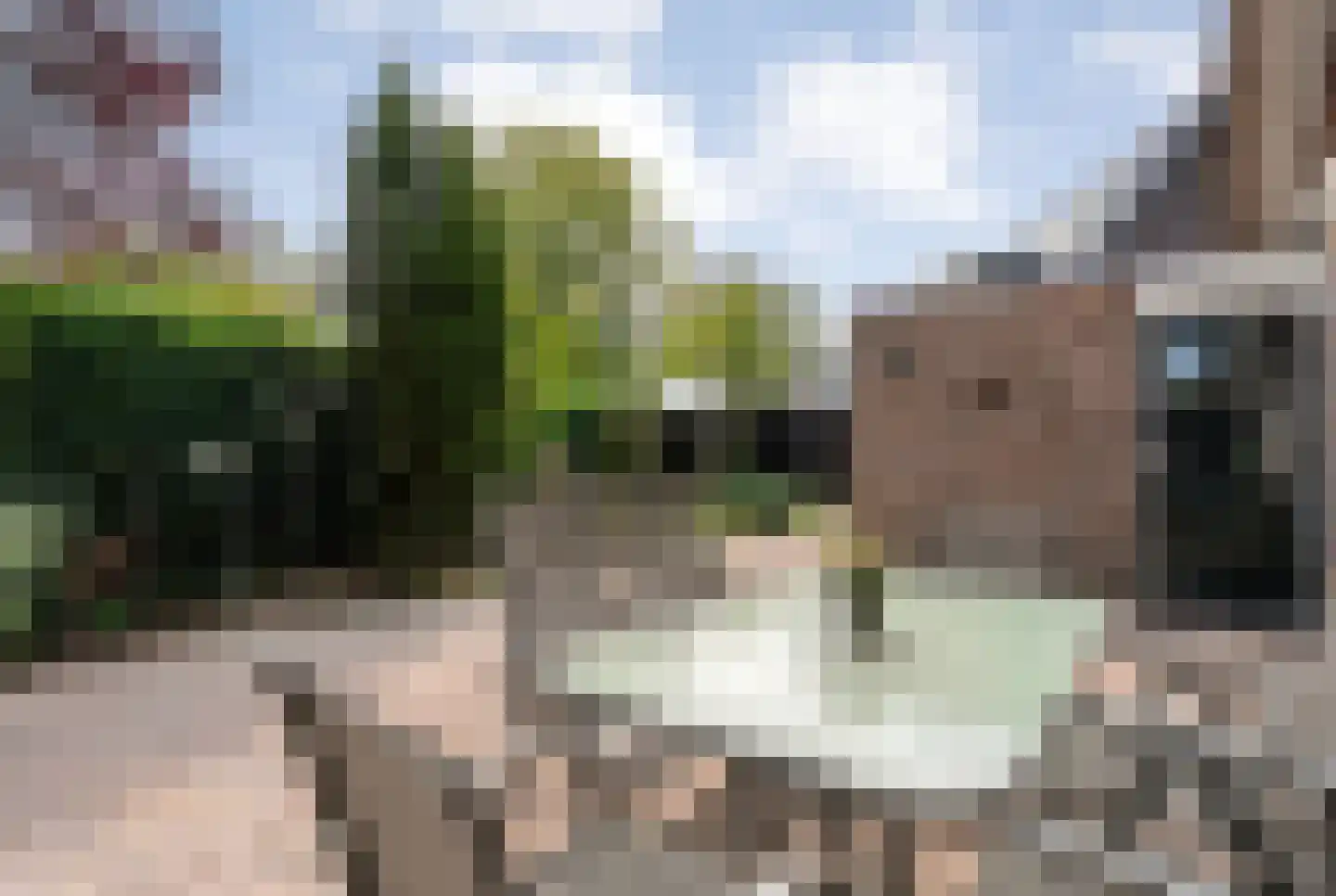 Beltmolen 16 de Lutte thumbnail 29