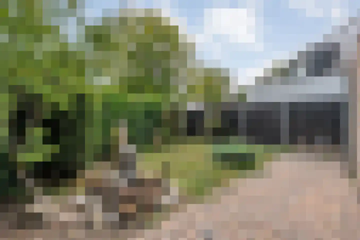 Beltmolen 16 de Lutte thumbnail 30