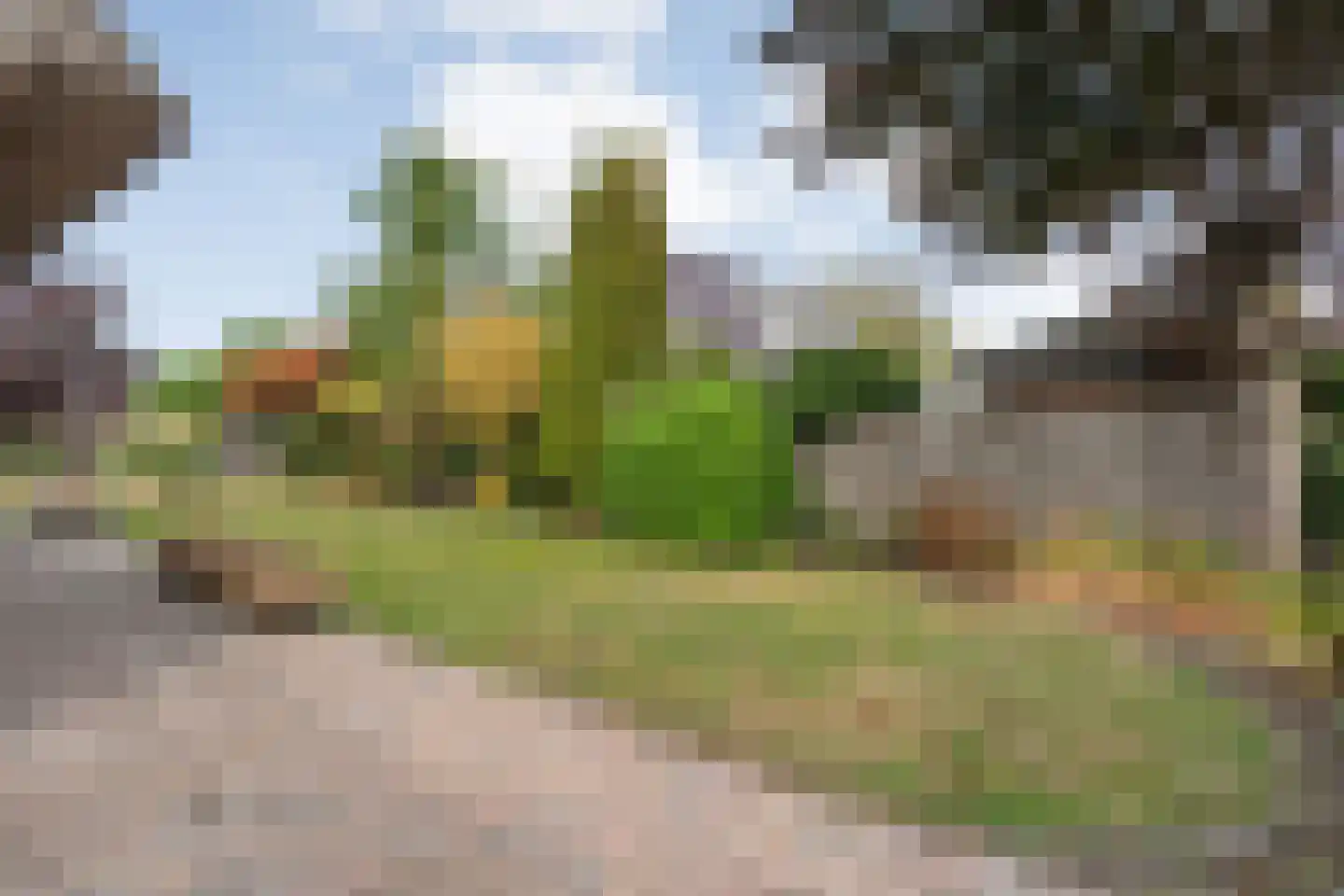 Beltmolen 16 de Lutte thumbnail 31