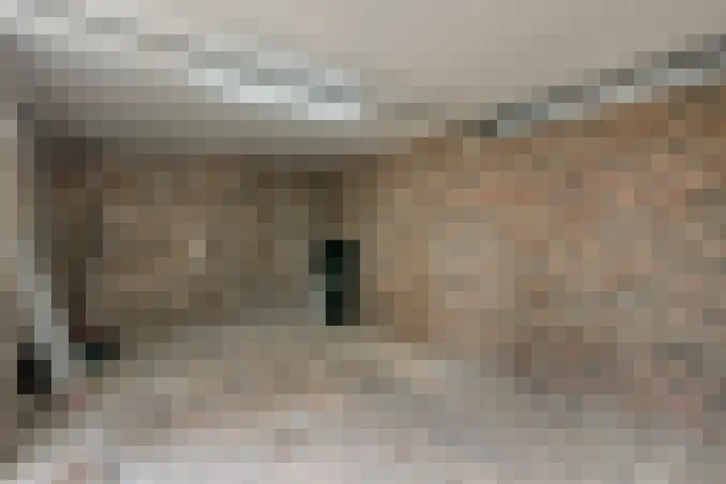 Beltmolen 16 de Lutte thumbnail 36
