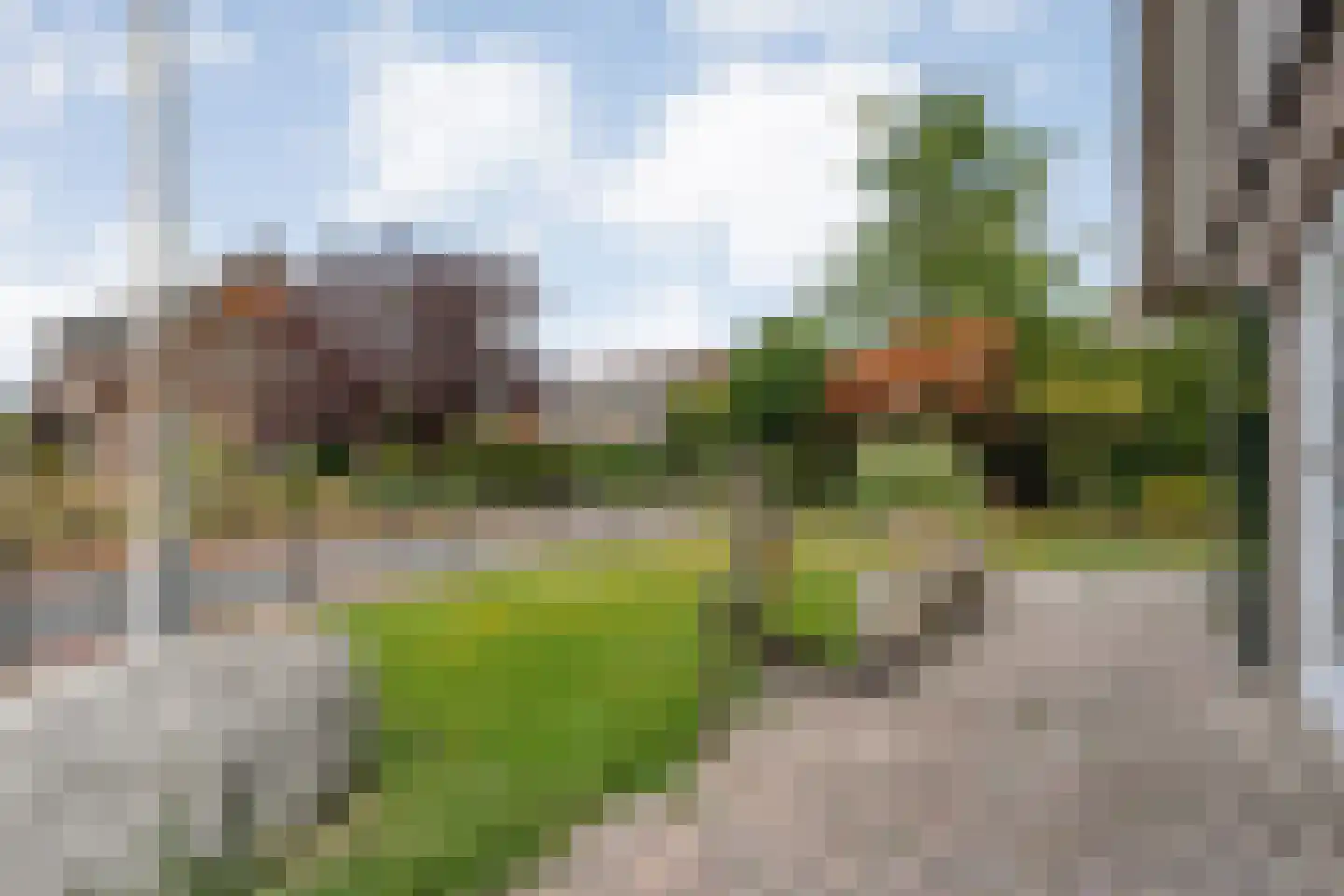 Beltmolen 16 de Lutte thumbnail 38