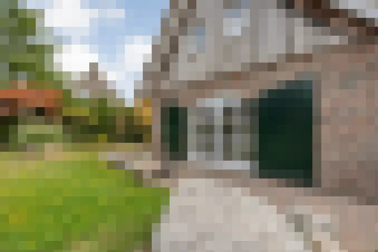 Beltmolen 16 de Lutte thumbnail 39