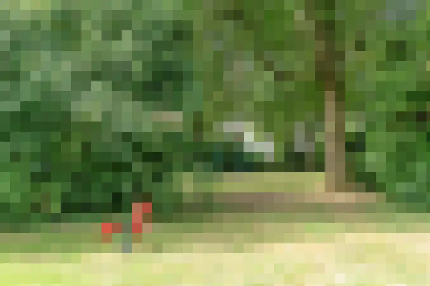 Beltmolen 17 Leusden thumbnail 31