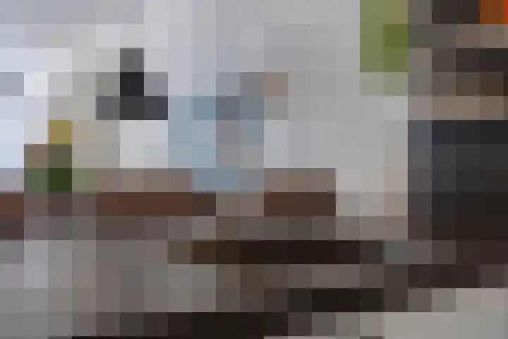 Beltmolen 19 Noordwijkerhout thumbnail 18