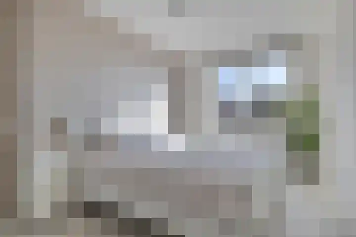 Beltmolen 19 Noordwijkerhout thumbnail 22