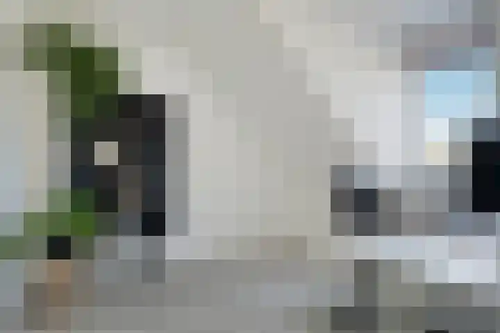 Beltmolen 19 Noordwijkerhout thumbnail 31