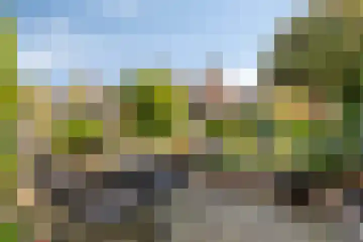 Beltmolen 19 Noordwijkerhout thumbnail 33