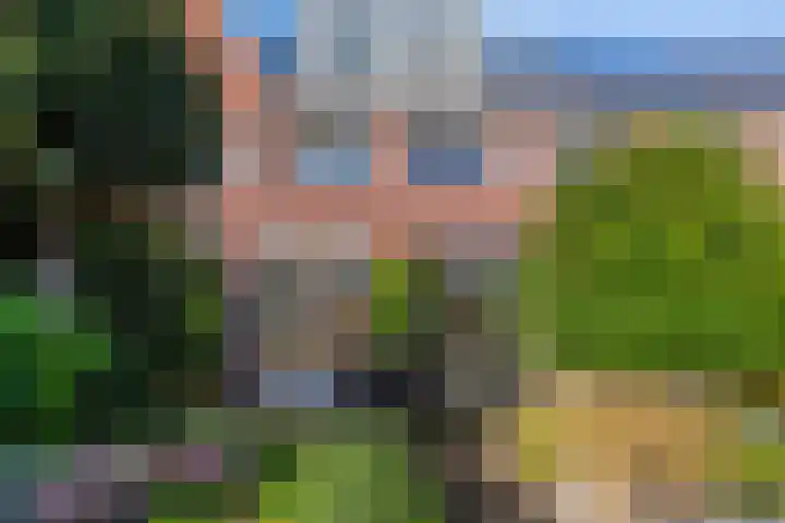 Beltmolen 19 Noordwijkerhout thumbnail 39