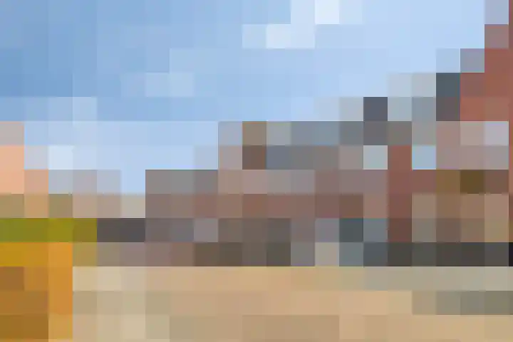 Beltmolen 19 Noordwijkerhout thumbnail 41