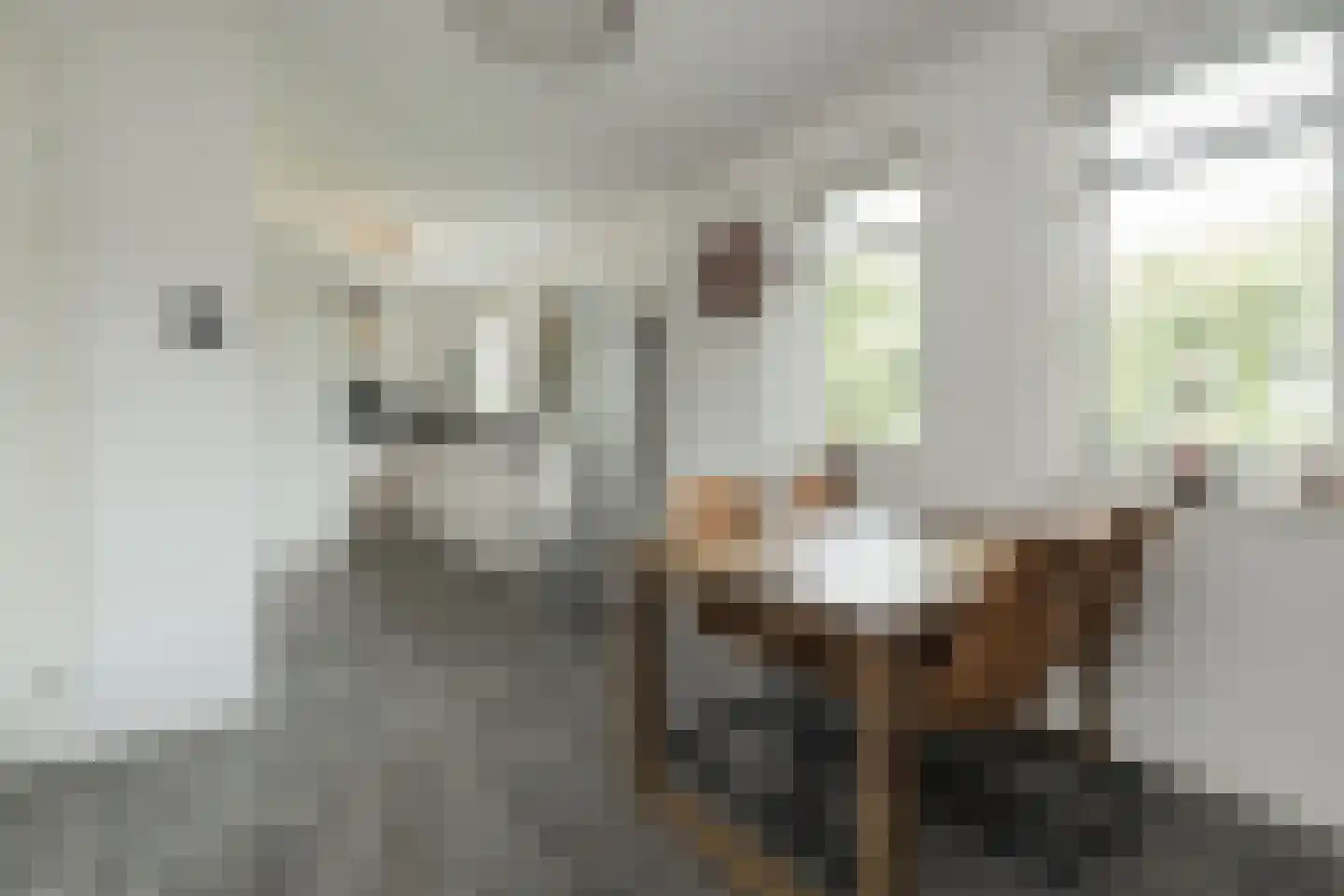 Beltmolen 22 Noordwijkerhout thumbnail 11