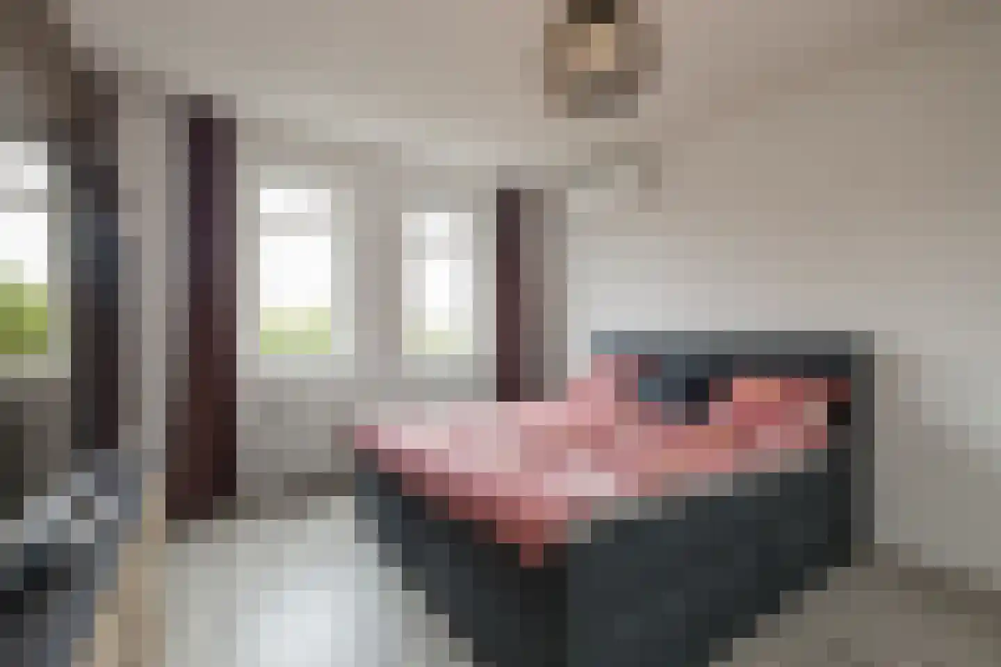 Beltmolen 22 Noordwijkerhout thumbnail 18