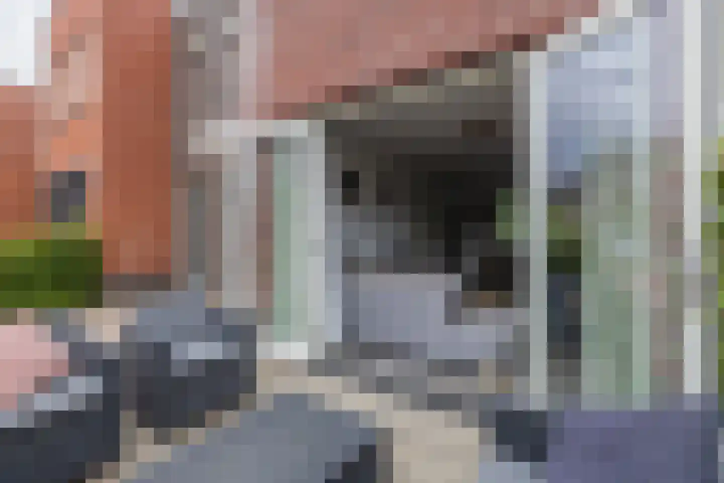 Beltmolen 22 Noordwijkerhout thumbnail 30