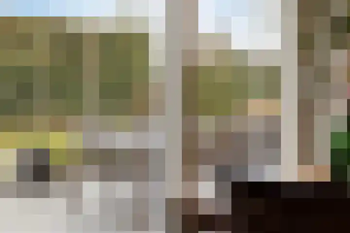 Beltmolen 23 Weert thumbnail 12