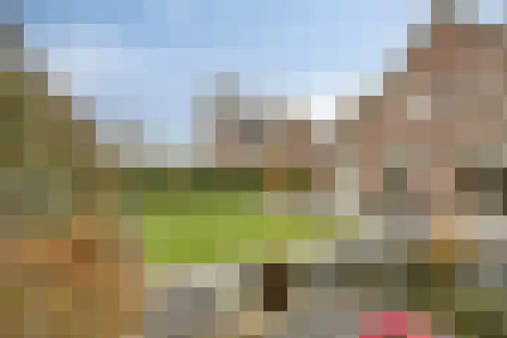 Beltmolen 23 Weert thumbnail 37