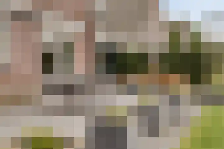 Beltmolen 23 Weert thumbnail 40