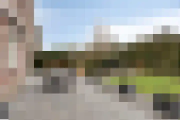 Beltmolen 23 Weert thumbnail 41