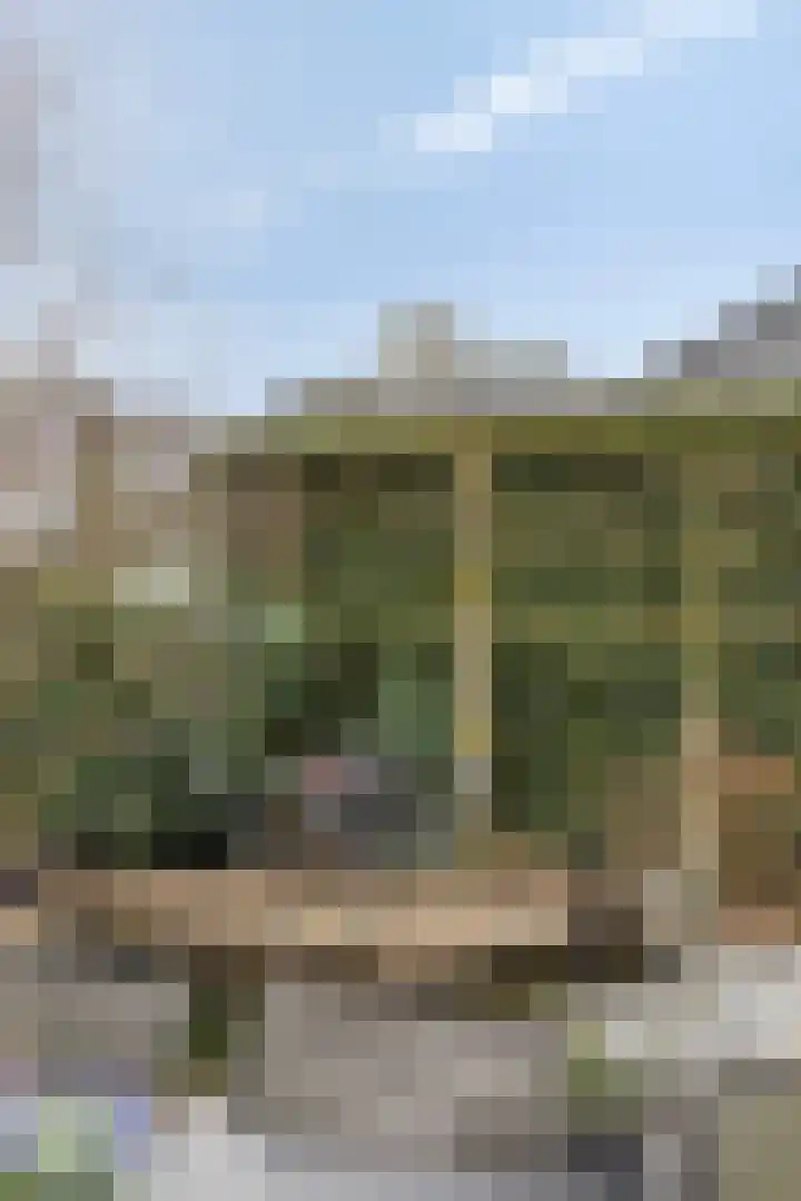 Beltmolen 23 Weert thumbnail 42