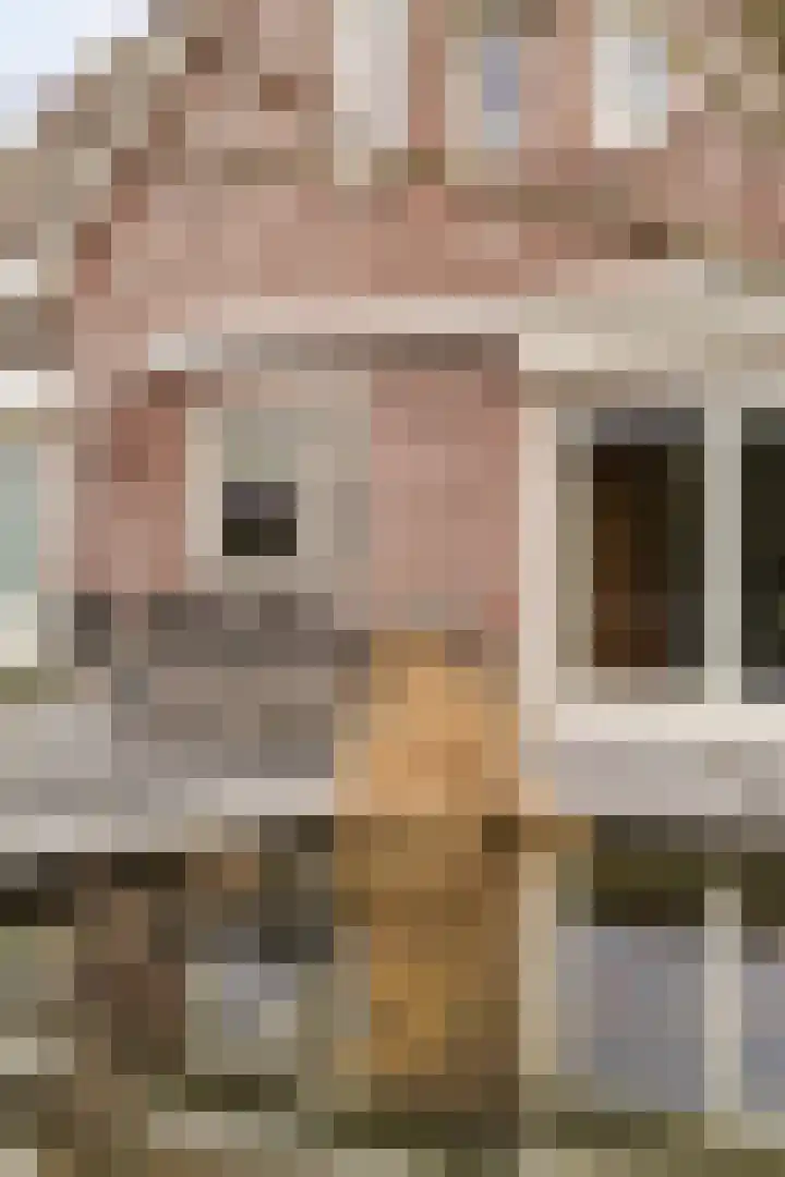 Beltmolen 23 Weert thumbnail 43