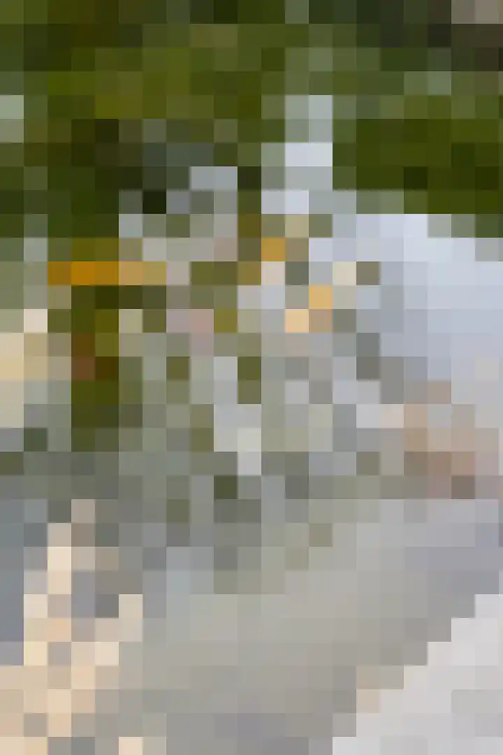 Beltmolen 23 Weert thumbnail 44