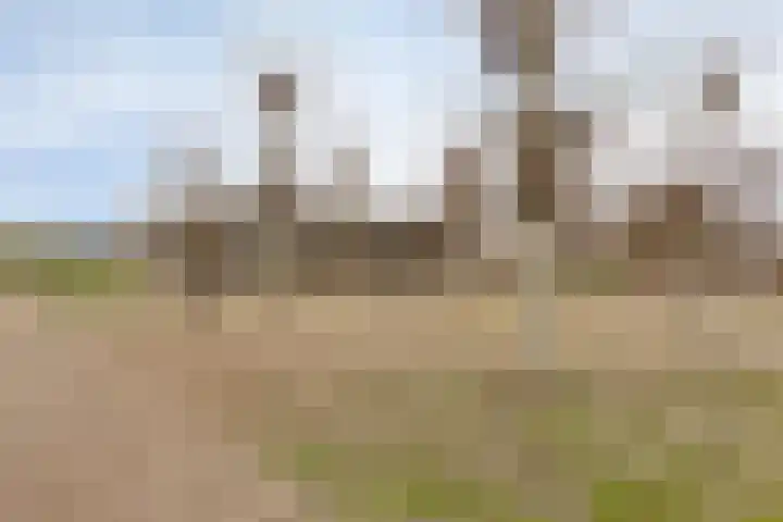 Beltmolen 23 Weert thumbnail 46