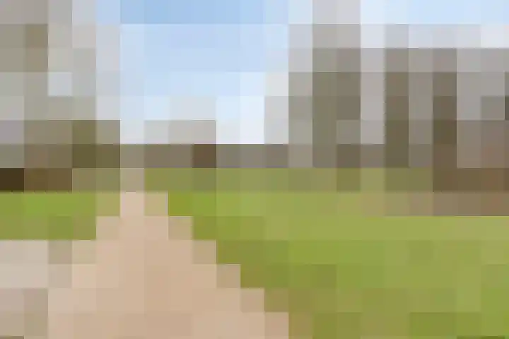 Beltmolen 23 Weert thumbnail 47