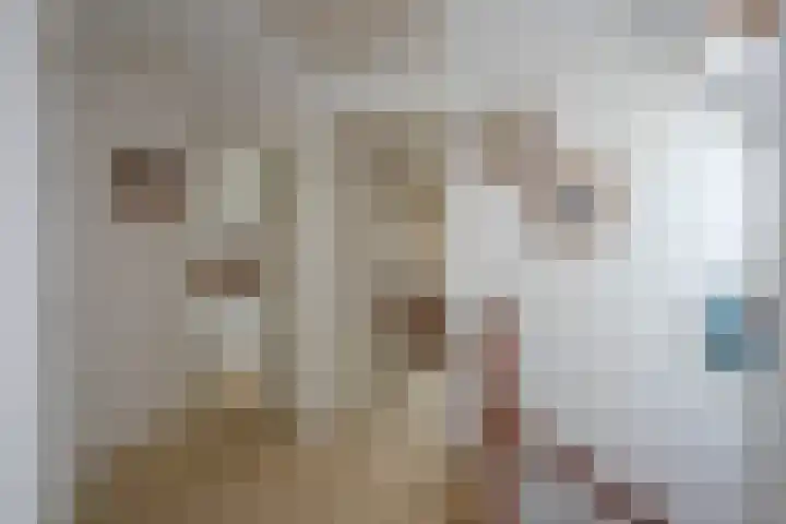 Beltmolen 24 de Lutte thumbnail 18
