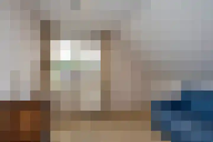 Beltmolen 24 de Lutte thumbnail 22