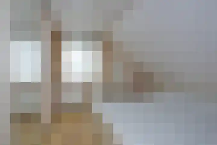 Beltmolen 24 de Lutte thumbnail 24