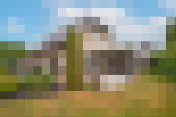 Beltmolen 24 de Lutte thumbnail 28