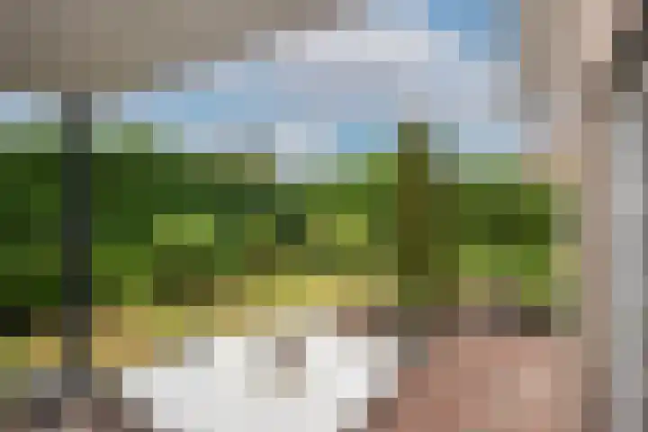 Beltmolen 24 de Lutte thumbnail 30