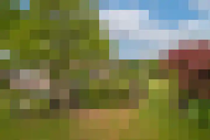 Beltmolen 24 de Lutte thumbnail 31