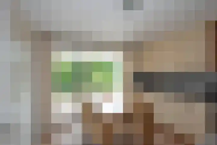 Beltmolen 24 de Lutte thumbnail 4