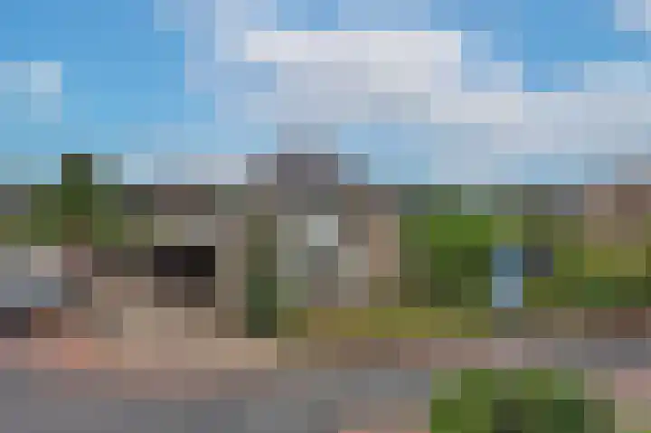 Beltmolen 24 de Lutte thumbnail 7