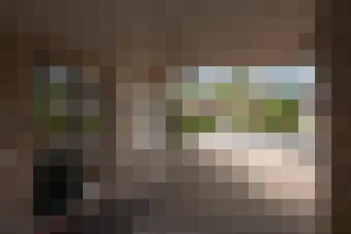 Beltmolen 24 de Lutte thumbnail 8